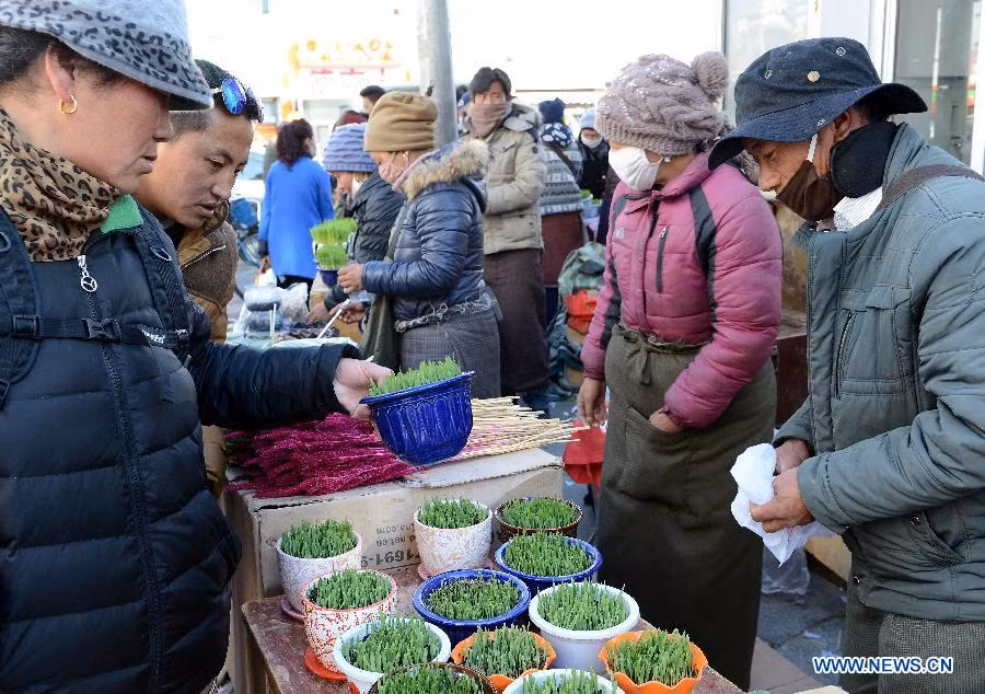 Cảnh người mua bán ở một buổi chợ Tết ở Tây Tạng ngày 17/2.