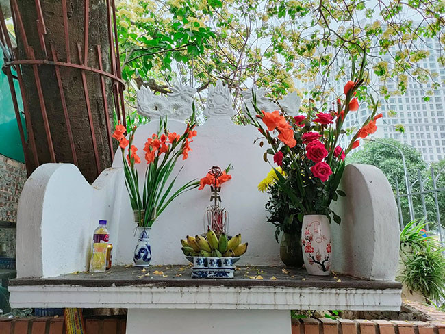 Theo người dân nơi đây, xưa kia, dưới gốc cây bún là nơi họp chợ của bà con quanh vùng nên cảnh quan còn đẹp hơn bây giờ nhiều. 