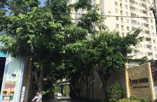 Hang chuc xe may bien mat khoi chung cu Tecco Towers