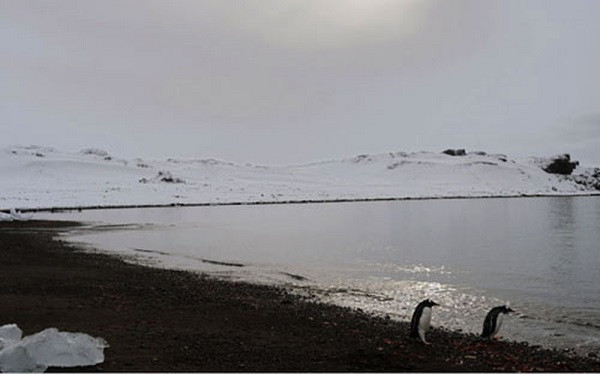 7. Công quốc Flandrensis được thành lập bởi một người Bỉ tên Niels Vermeersch năm 2008. Flandrensis tuyên bố chủ quyền bao gồm 5 hòn đảo Nam cực là Siple, Cherry, Maher, Pranke và Carney dựa trên Diễn giải Hiệp ước Nam cực năm 1959. Vùng đất này có thẻ căn cước, tiền tệ, báo, hiến pháp và quốc ca riêng. Công quốc này có khoảng 100 công dân đến từ 21 nước.