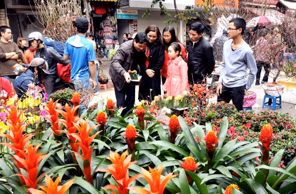 Những chợ hoa, làng hoa Tết ngày nào, nay vẫn có đào, quất nhưng lạ mắt hơn với nhiều loại hoa mới, hình dáng độc đáo.