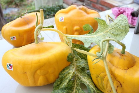 Nhung trai cay doc ngay Tet cuc bat mat hinh anh 8