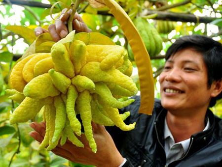 Nhung trai cay doc ngay Tet cuc bat mat hinh anh 10