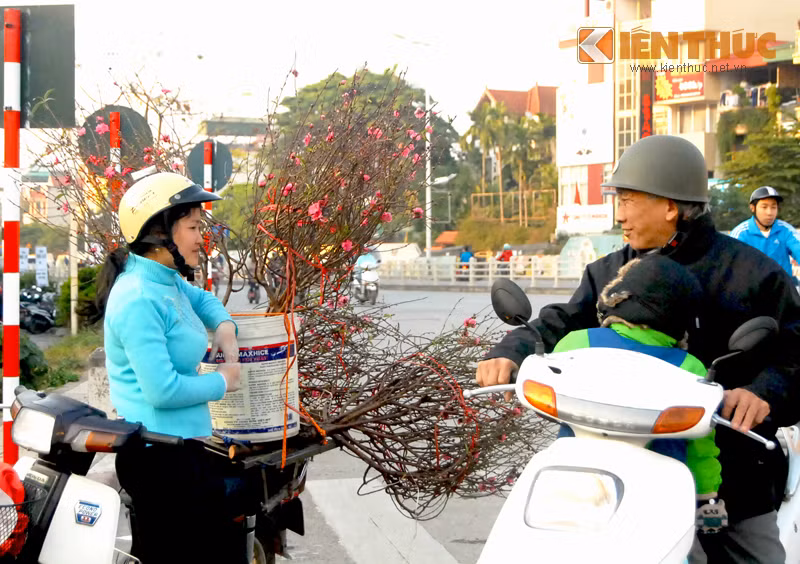 dao nhat tan gia chat bat ngoa ban som hinh anh 1