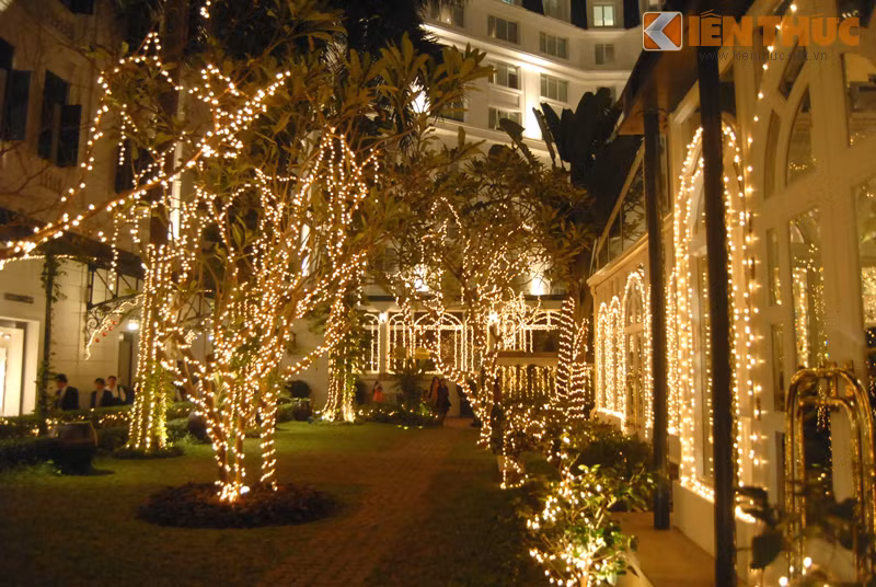Dọc các lối đi giữa các quầy bar, phòng chức năng, khu thương mại, khu bể bơi... các hàng cây được giăng đèn lãng mạn.