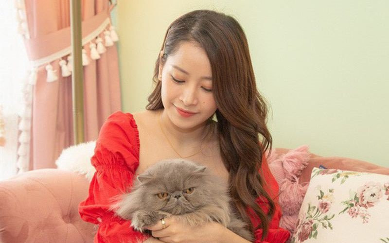 Một chú mèo cưng để bầu bạn là điều không thể thiếu với nữ ca sĩ.