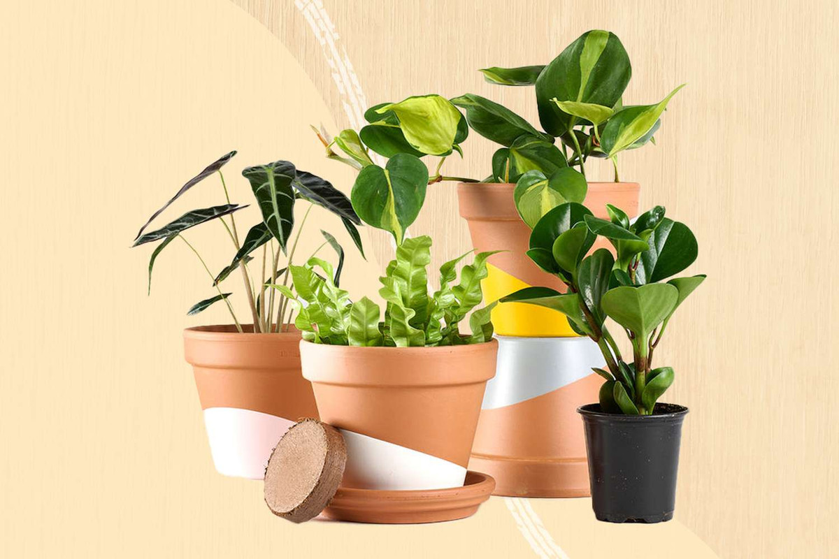  Đừng mua đồ nội thất vì giá hời: Julia Rose Schweyer, người sáng lập Julia Rose Interiors cho rằng mọi người thường lãng phí tiền vào những món đồ giảm giá mà họ không thực sự thích - thường, những vật dụng này sẽ bị cất trong nhà kho hay thanh lí với giá mềm.