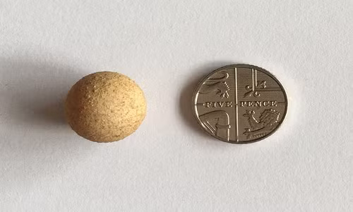 Trung ga bang dong xu gay sung sot