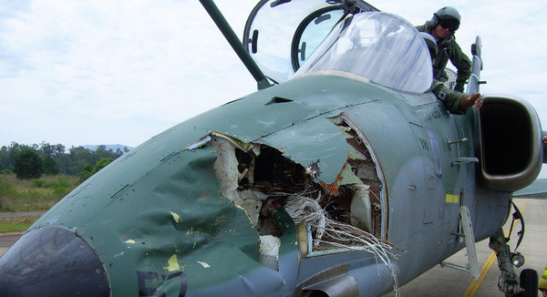 Nguyên nhân tiếp theo cũng dẫn đến nhiều vụ tai nạn máy bay của IAF là do chim, những vụ tai nạn như thế này chiếm khoảng 10%. Hầu hết các căn cứ của IAF đều nằm gần khu vực đông dân cư, nơi chim là mối đe dọa thường trực.