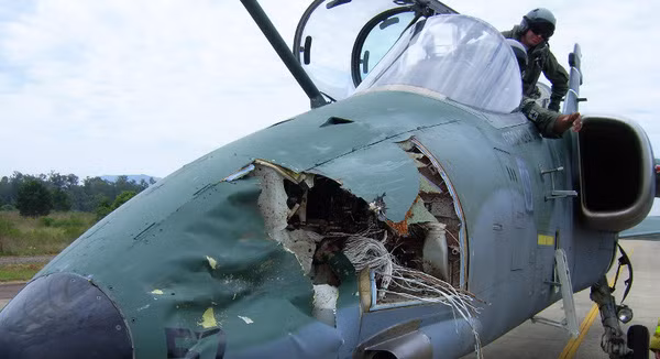 Nguyên nhân tiếp theo cũng dẫn đến nhiều vụ tai nạn máy bay của IAF là do chim, những vụ tai nạn như thế này chiếm khoảng 10%. Hầu hết các căn cứ của IAF đều nằm gần khu vực đông dân cư, nơi chim là mối đe dọa thường trực.