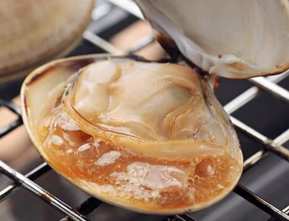 Sò bơ Mỹ được rao bán với giá gần 500 nghìn đồng/con - Hình 2 So bo My duoc rao ban voi gia gan 500 nghin dong/con-Hinh-2