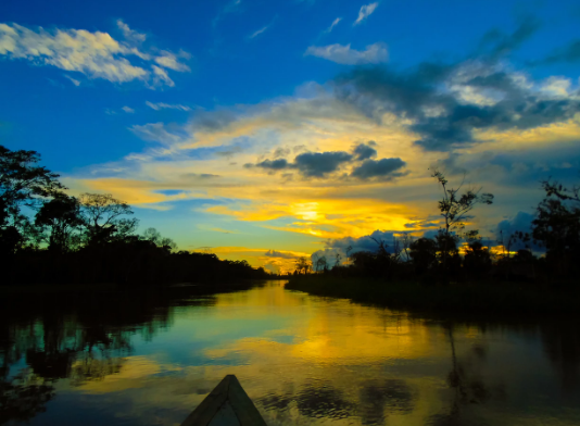 "Họ" phổ biến nhất ở Brazil là Silva. Ảnh: Telegraph.