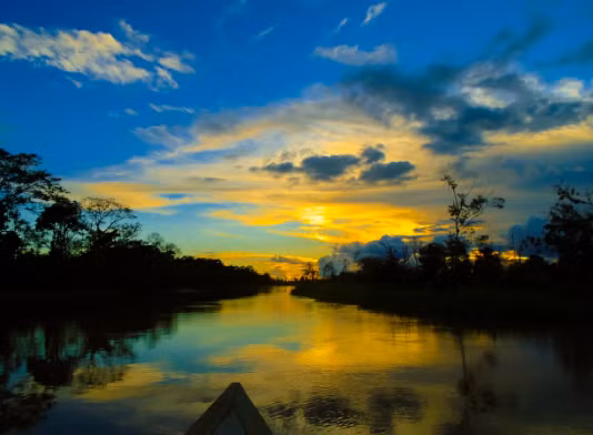 "Họ" phổ biến nhất ở Brazil là Silva. Ảnh: Telegraph.