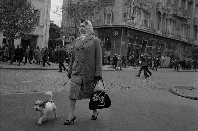 Người phụ nữ dắt thú cưng trên đường phố Odessa 50 năm trước. 