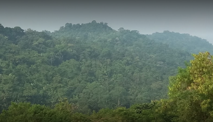 Sakteng có tổng diện tích 650 km2 và là khu vực được bảo vệ mới nhất của Bhutan. 