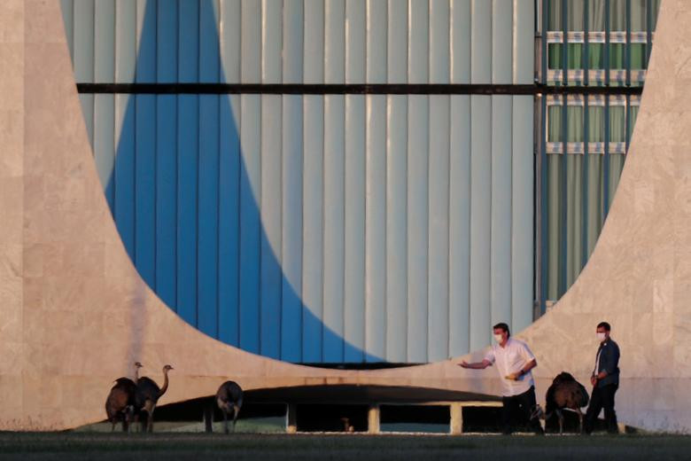 Theo AP, chỉ có một vài phụ tá từng nhiễm COVID-19 rồi mới được phép đến gần ông Bolsonaro trong vài ngày qua, những người còn lại dường như hạn chế tiếp xúc trực tiếp để tránh nguy cơ lây nhiễm.