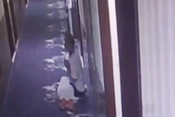 Con on thi dai hoc, bo ngu hanh lang so tieng ngay gay on