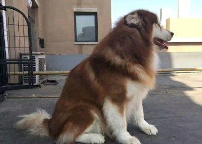 Nho bo trong ho cho cung, co gai “khoc thet” khi thay dieu nay-Hinh-2