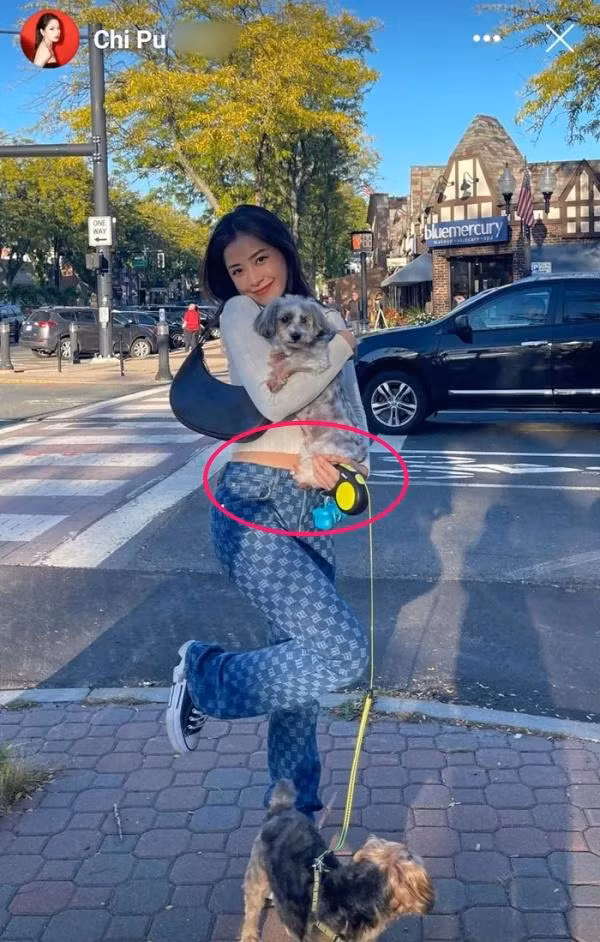 Chi Pu bị soi vòng 2 to bất thường sau tin đồn sang Mỹ "lánh nạn" - Hình 2 Chi Pu bi soi vong 2 to bat thuong sau tin don sang My