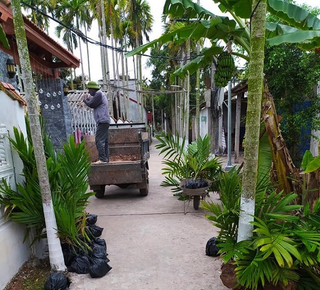 Trong loai cay vua lam canh vua ban qua, ca lang thu ve 60 ty dong/nam-Hinh-5