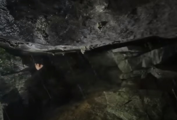 Nhưng những đêm mưa rừng khiến Chứ cảm thấy cô quạnh và nhớ người thân. Sau đó, đầu năm 1997, Chứ quyết định về thăm nhà nhưng không còn ai ở đó. Thôn bản đã di chuyển đến vùng đất mới. Nghĩ rằng, gia đình đã chuyển về Bảo Yên sinh sống nên Chứ theo đường rừng tìm về Bảo Yên nhưng cũng không có tin tức của người thân. Chứ lại quay về xã Thanh Bình.