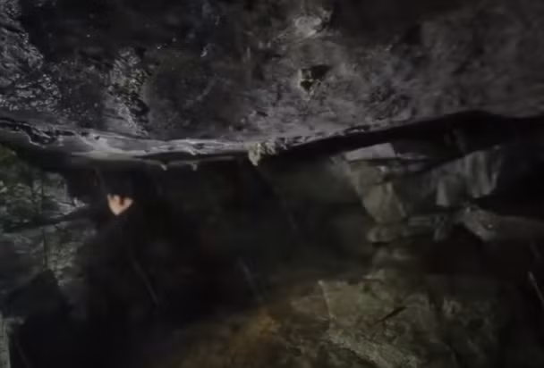 Nhưng những đêm mưa rừng khiến Chứ cảm thấy cô quạnh và nhớ người thân. Sau đó, đầu năm 1997, Chứ quyết định về thăm nhà nhưng không còn ai ở đó. Thôn bản đã di chuyển đến vùng đất mới. Nghĩ rằng, gia đình đã chuyển về Bảo Yên sinh sống nên Chứ theo đường rừng tìm về Bảo Yên nhưng cũng không có tin tức của người thân. Chứ lại quay về xã Thanh Bình.