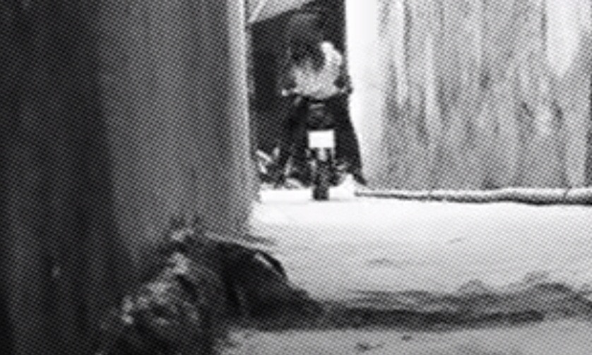 Đến nơi thuê trọ của chị Ng, Hoàng bảo Tuấn về trước chuẩn bị hung khí gồm dao và dây thừng còn Hoàng đến rủ chị Ng đi dự sinh nhật. Tuấn cầm lái chở Hoàng ngồi giữa, chị Ng ngồi sau. Khi đến nghĩa trang thôn Bảo Tháp, Hoàng dừng xe, Tuấn dùng tay bịt miệng chị Ng, Hoàng dùng dao đâm liên tiếp vào lưng nạn nhân. Chúng lấy ví tiền, điện thoại, xe máy rồi phi tang xác.