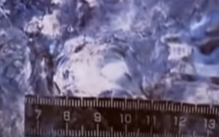 Còn Nguyễn Hải Hoàng đã tự sát ít ngày sau khi bị bắt.