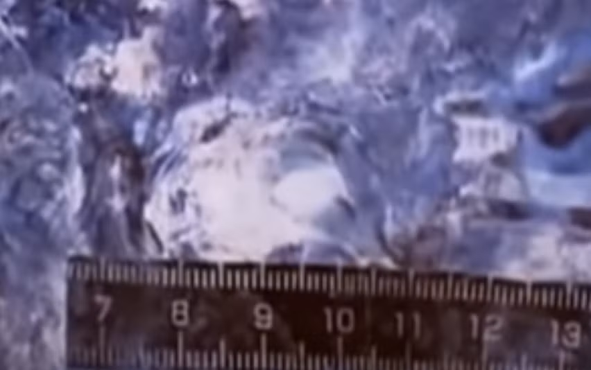 Còn Nguyễn Hải Hoàng đã tự sát ít ngày sau khi bị bắt.