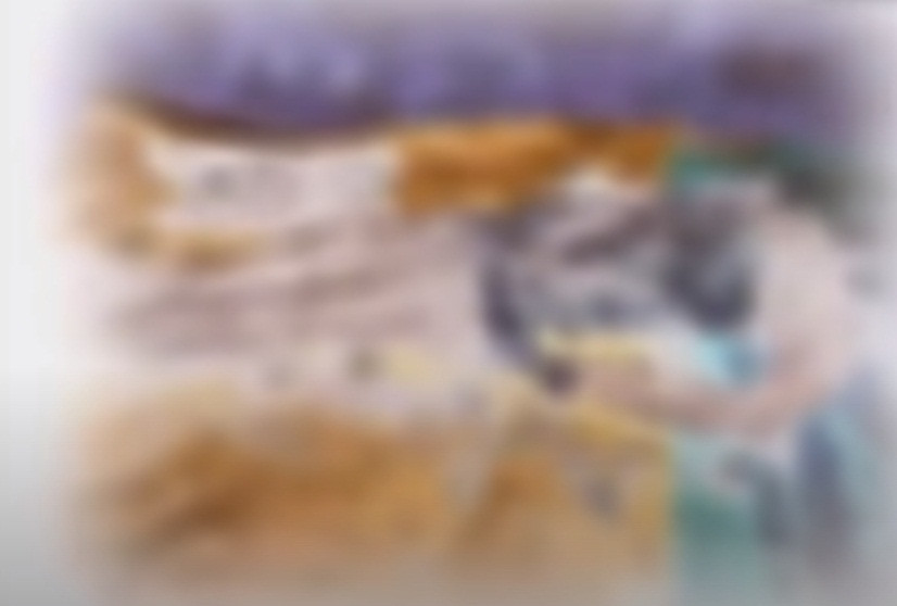 Khám nghiệm cho thấy nạn nhân là nữ giới, khoảng 30 tuổi, chưa rõ danh tính, cơ thể đang trong thời kỳ phân hủy mạnh. Nạn nhân mặc áo thun dài tay, có cổ màu xanh, quần bò màu đen. Trên áo có 4 vết rách thủng hình khe 1,5cm, vùng đầu và mặt đã bị hoại tử, lưng phải có vết thương hình khe, vùng thắt lưng có vết thương... Kết luận nạn nhân chết do mất máu cấp, đã chết khoảng 70 ngày trước thời điểm phát hiện thi thể.