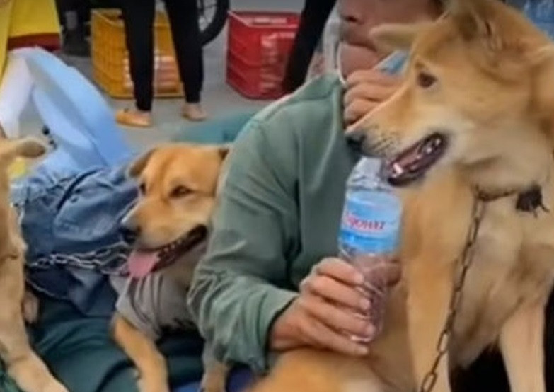  Chủ nhân bị F0, 15 chú chó bị tiêu hủy: Ngày 10/10, ông Trần Tấn Công, Chủ tịch UBND huyện Trần Văn Thời (Cà Mau), đã làm việc với Ban Chỉ đạo phòng, chống dịch COVID-19 xã Khánh Hưng để xử lý vụ tiêu hủy 16 con chó, mèo của người dân. Trước đó, ngày 8/10, vợ chồng ông H. cùng nhóm người cùng làm thợ hồ chạy xe máy từ Long An về Cà Mau. Sau khi vào khu cách ly tại trường THPT Khánh Hưng để sàng lọc, 5/7 người trong đoàn dương tính với nCoV. Lúc này, 15 con chó cùng một con mèo của ông H. và một người khác trong đoàn bị cán bộ trong khu cách ly tiêu hủy. Vụ việc sau đó gây lùm xùm dư luận.