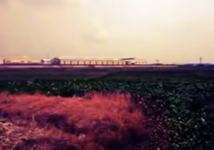 Từ việc chị Ng. mất tích, độ tuổi tương đương với nạn nhân đã được phát hiện tại cánh đồng Cùm, lực lượng điều tra đã mời gia đình chị Ng. đến nhận dạng và gửi mẫu ADN đến viện Khoa học hình sự Bộ Công an. Kết quả cho thấy, tử thi chính là chị Ng. Nạn nhân đã được xác định, hướng điều tra đã được mở ra.