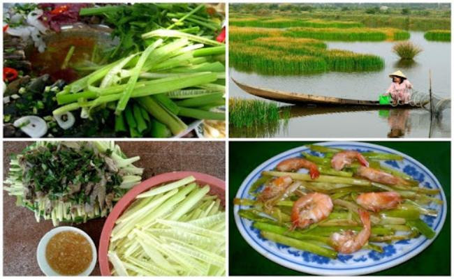 Thậm chí có nơi còn bán đọt năn bộp với giá lên tới 120.000 đồng/kg.