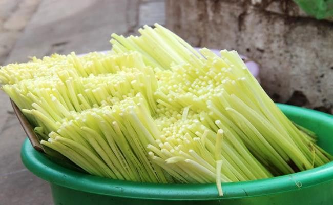 Cả chồi non và củ của cây cỏ năn đều ăn được, trong đó phổ biến nhất là đọt năn.