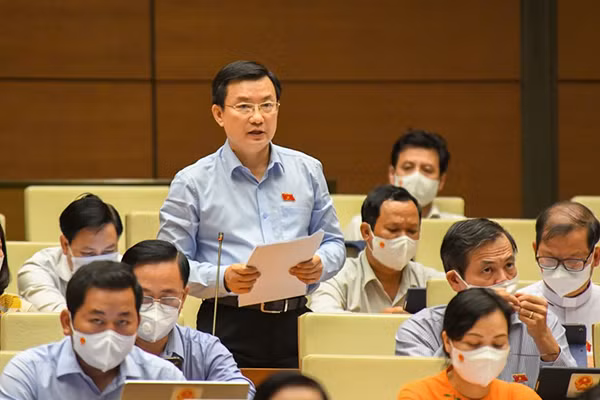 Dai bieu Pham Trong Nhan: “Ton vinh sao con bao cao thanh tich?