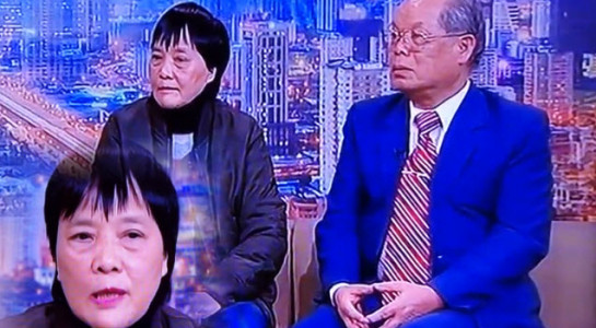 Ngày 28/11/2017, trong chương trình “Café Sáng” trên VTV, khi nói về ý tưởng cải cách chữ viết của PGS.TS Bùi Hiền, tiến sĩ Đoàn Hương phát biểu: “Khi một ý tưởng mới ra đời, trước hết phải suy ngẫm, nhìn nhận nó bằng con mắt khoa học, đây là một công trình khoa học cho nên phải có ý kiến của các nhà khoa học chứ không phải là đám quần chúng không hiểu gì cứ ào ào vào ném đá…”.