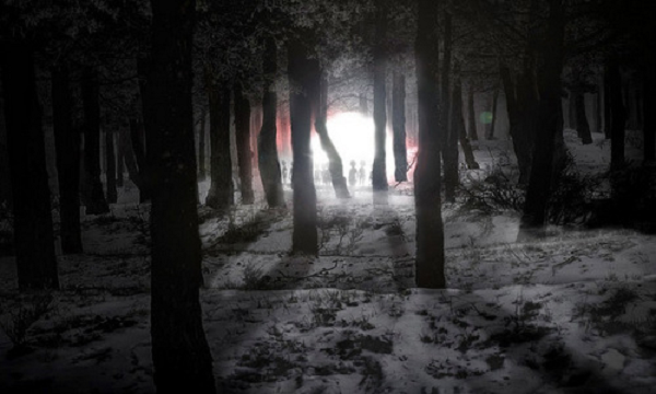 “Tôi có thể nói với bạn rằng, có một vài loại trí thông minh siêu nhiên có thể thay đổi hình dáng, kích thước, và làm những thứ buồn cười. Cái mà tôi đã nhìn thấy, tôi tin chắc, rằng chúng ta không biết một chút gì về họ và cả những thứ liên quan hoặc ở bên trong họ. Có thể họ không tồn tại ở dạng chúng ta biết, hoặc có thể họ là một thực thể chỉ có trí thông minh và chúng ta không liên quan tới họ", Halt cho biết.