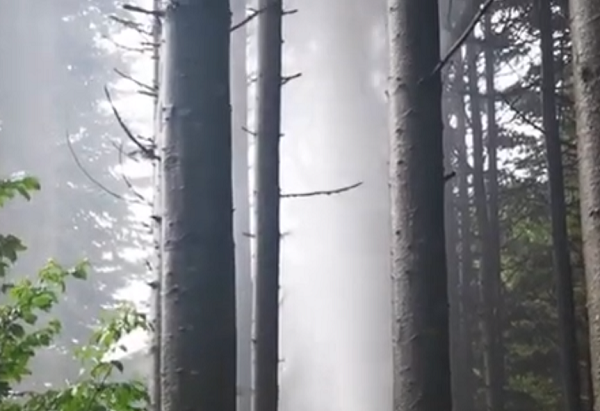 Người dân địa phương kể rằng sáng sớm ngày hôm đó dã nghe thấy tiếng nước “gầm rít” rất mạnh, và khi chạy đến gần khu rừng thì thấy nước đang phun cao hơn cả những ngọn cây xung quanh.