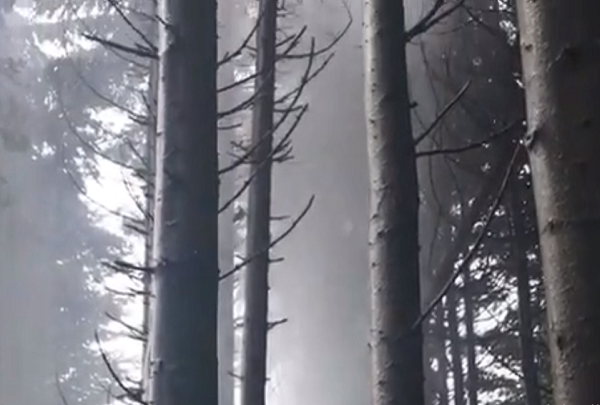 Mặc dù một số người coi việc nước phun trào là điềm tốt, báo hiệu sự sung túc, dồi dào, nhưng sự việc này vẫn khiến nhiều người khác lo lắng và coi là điềm xấu.