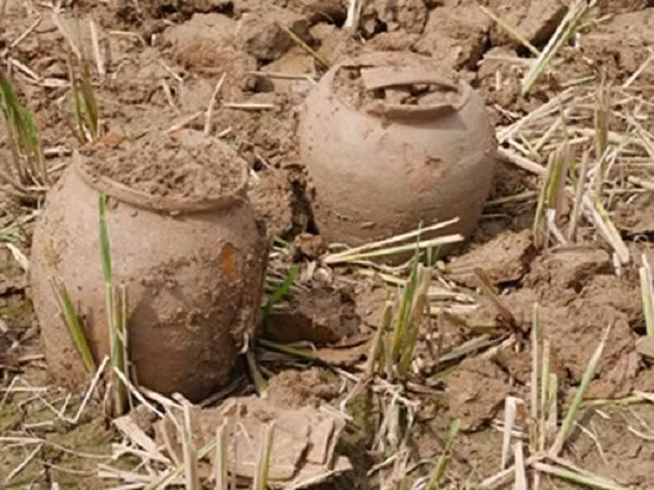 Ban đầu nó chỉ được bào chế cho bệnh nhân mắc bệnh cảm, tuy nhiên không ai có thể ngờ được rằng đến thời Ngụy Tấn, "Ngũ thạch tán" lại được tầng lớp quý tộc và thượng lưu săn lùng để kéo dài tuổi thọ, cải thiện sức khỏe.