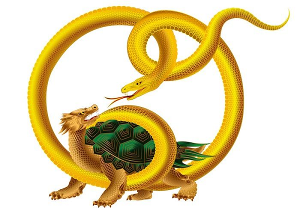 Thông thường Genbu có màu đen nhưng trong một số hoàn cảnh lại mang màu vàng hoặc màu tím, màu của Hoàng gia. Genbu kiểm soát các yếu tố về nước hoặc liên quan đến mùa đông, trấn giữ ở phía bắc cung điện Hoàng gia Kyoto. Sinh vật huyền bí này cũng là biểu tượng cho sự thuần khiết, trường tồn vĩnh cửu cùng sự linh hoạt và trí tuệ.