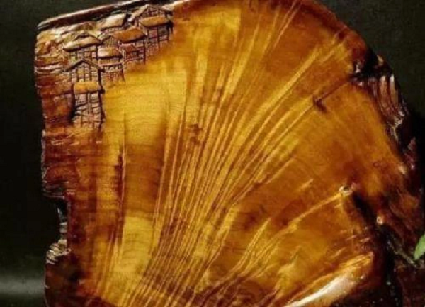 Sau khi phân tích, các chuyên gia đã xác nhận khúc gỗ này chính xác là gỗ Kim tơ Nam mộc âm trầm nghìn năm đã tuyệt chủng ở Trung Quốc. Theo các chuyên gia thì khối gỗ này thuộc số gỗ được dùng để xây Tử Cấm Thành vào thời nhà Minh.