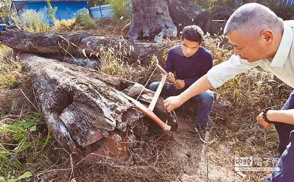 Một lão nông có tên là Lôi Quân sống tại huyện Gia Ngư, thuộc Hàm Ninh, Hồ Bắc tình cờ vớt được 1 khối gỗ đặc biệt vào 9 năm trước. Lôi Quân cùng nhóm người quyết định xuống nước dùng dây thừng kéo lên nhưng họ mất tới hơn 1 tiếng đồng hồ mà khối gỗ vẫn không hề nhúc nhích.