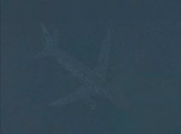 Nếu dựa trên hình ảnh thì chiếc máy bay lớn này hoặc đang nằm trên mặt đất - ở một khu đất trống trong rừng, hoặc đang bay qua khu vực này, nhưng bay cực kỳ thấp, thấp hơn mức cho phép. Chiếc máy bay có vẻ có màu xám và đang bay về phía Nam.