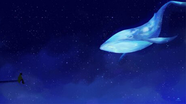 Không chỉ phát ra tần suất cao, hành trình của 52 Blue cũng rất khác thường. Các nhà nghiên cứu có thể dễ dàng tìm được dấu vết chuyển động của nó nhờ vào âm thanh đặc biệt, tuy nhiên lộ trình của "52 Blue" chẳng hề liên quan chút gì tới vùng di chuyển của loài cá voi thông thường.