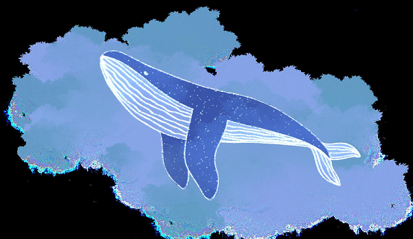 Tuy nhiên, "52 Blue" vẫn luôn kiên trì cất tiếng gọi giữa đại dương bao la từ năm này qua năm khác. Không ai chắc chắn tại sao 52 Blue lại hát ở tần số bất thường này. Một số nhà sinh vật học đưa ra giả thuyết rằng chú cá voi này có thể bị dị hình theo một cách nào đó hoặc là con lai của hai loài cá voi.