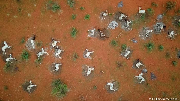 Thế nhưng số lượng các loài hiện đang đứng trước nguy cơ tuyệt chủng ngày càng tăng, điều này cho thấy húng ta đang trải qua giai đoạn đầu của đợt tuyệt chủng hàng loạt lần thứ 6 và nó có thể tệ hơn nhiều trong tương lai.