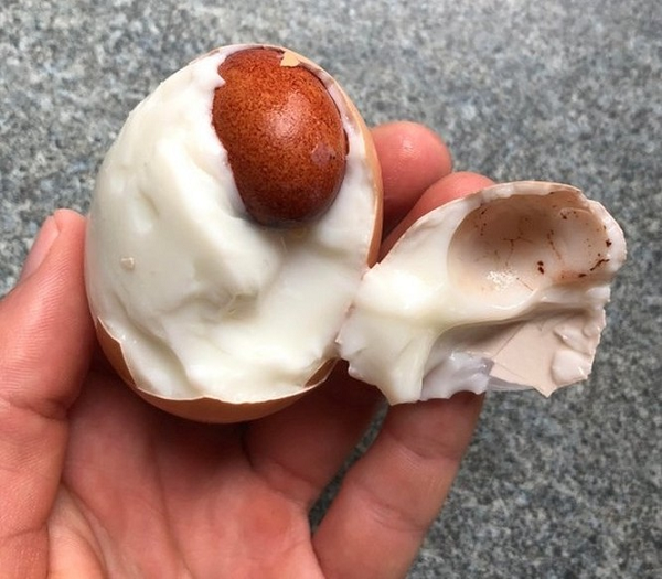 Quả trứng nằm trong trứng.