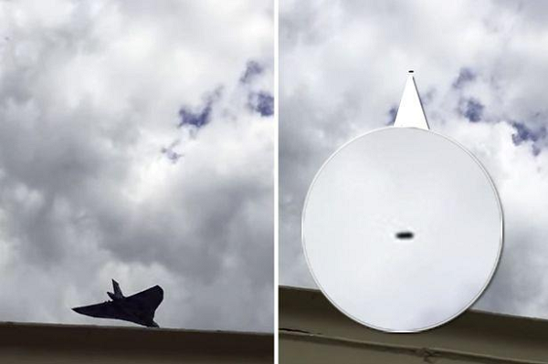 UFO bí ẩn đã đổ bóng lên chiếc máy bay của anh khá lâu. Theo báo cáo, phi hành đoàn thậm chí đã chụp được ảnh chiếc UFO bằng kim loại đó.