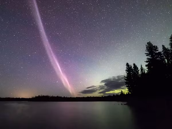Tuy nhiên, chưa giả thuyết nào đứng vững và STEVE vẫn là một bí ẩn kể từ khi nó được xác định vào năm 2017.